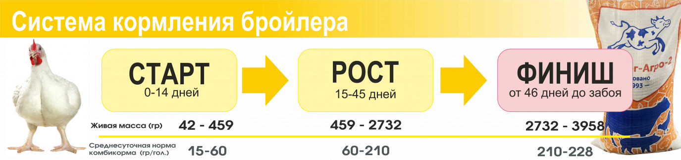 система кормления бройлеров